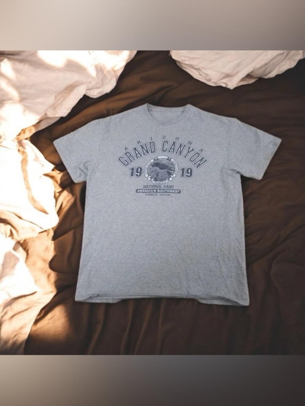 💎Grand Canyon Graphic Tee - Gray Men's Short Sleeve Shirt